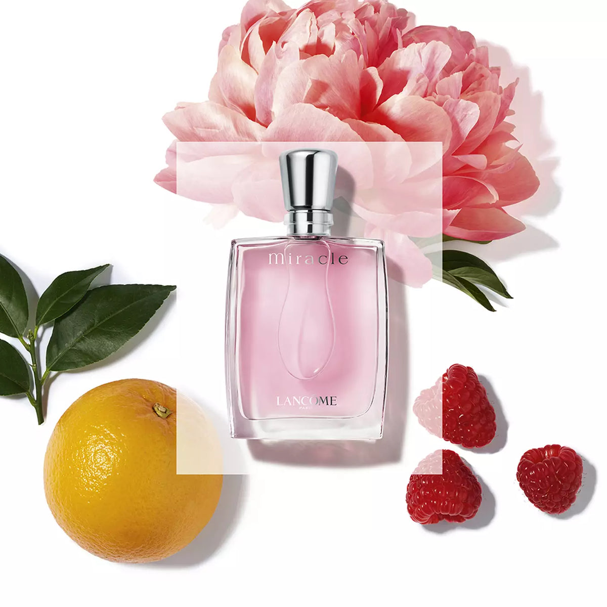 Lancôme
Miracle for Women Eau de ParfumWomen Perfume 100ml