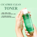 MIXSOON CICA TREE CLEAN TONER