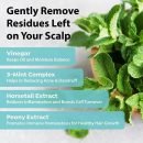 Apieu Mint Scalp Hair Vinegar